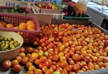 Harga Tomat di Pasar Lirung Naik
