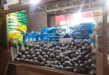 Terkini, Informasi Harga Pangan dan Kebutuhan Bahan Pokok