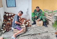 Kopda Wilmar Bantu Warga Miangas Olah Kopra