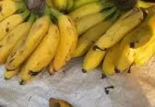 Makan Pisang Bermanfaat untuk Tubuh  dan Jantung