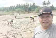 Pemkab Talaud Pacu Penanaman Pani