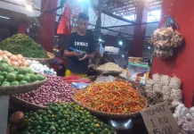Terkini, Informasi Harga Pangan dan Kebutuhan Bahan Pokok