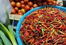 Harga Cabai di Pasar Melonguane Mulai Turun