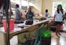 Cuaca Ekstrem, Harga Ikan Laut Naik