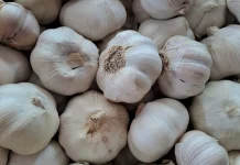 Harga Bawang Putih di Talaud Berangsur-angsur Turun