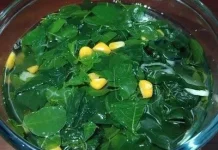 Sayur Katuk Kaya Nutrisi, Bisa Menunjang Kesehatan Tubuh