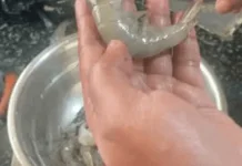 Konsumsi Udang Sehat Bagi Tubuh dengan Porsi Tetap Wajar