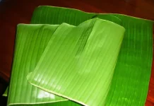 Daun Pisang, Pembungkus Alami yang Menambah Aroma dan Menjaga Kualitas Makanan