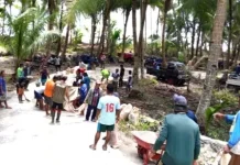 Babinsa Bantu Warga Panen Kelapa