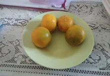 Jeruk, Buah Segar Kaya Nutrisi dan Baik untuk Kesehatan