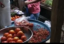 Harga Cabai dan Tomat Turun