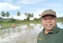 Komoditas Perkebunan Jadi Penyumbang Terbesar PDRB Kabupaten Kepulauan Talaud