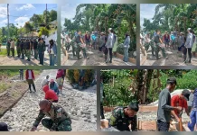Sinergi TNI, Mahasiswa, dan Warga Sambuara Cor Jalan Desa