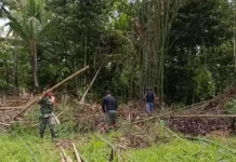Babinsa Koramil Beo Gotong Royong Siapkan Tenda Ibadah Kaum Bapa Rae