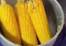 Konsumsi Jagung Secara Rutin Berikan Beragam Manfaat bagi Kesehatan