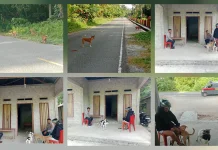 Anjing Sering Kejar Warga, Polsek Melonguane Imbau Pemilik Kandangkan Peliharaan