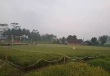 Manfaat Udara Pagi bagi Kesehatan, Bantu Tubuh Lebih Segar