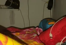 Tidak Tidur Siang, Kenali Dampaknya bagi Tubuh dan Konsentrasi