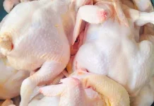 Harga Daging Ayam di Pasar Lirung Turun Menjadi Rp38 Ribu per Kilogram