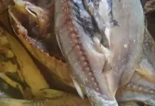 Nelayan Desa Taduwale Mengolah Ikan Garam Menjadi Sumber Ekonomi