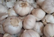 Harga Bawang Putih Turun