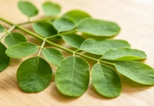 Jangan Abaikan, Ini Manfaat Daun Kelor bagi Kesehatan