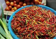 Harga Cabai di Pasar Melonguane Kembali Naik Menjadi Rp75 Ribu per Kilogram