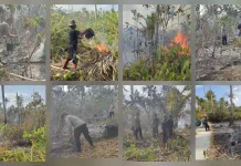 Polsek Lirung dan Warga Padamkan Karhutla di Perkebunan Sampo Moronge