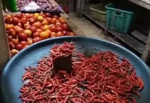 Harga Cabai di Pasar Melonguane Naik Signifikan, Tembus Rp100 Ribu per Kilogram