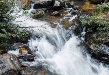 World Water Week, Momentum Jaga Masa Depan Air
