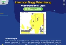 BMKG Keluarkan Peringatan Gelombang Tinggi
