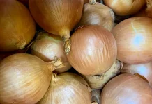 Manfaat Bawang Bombay, Pelengkap Masakan yang Kaya Nutrisi