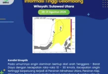 BMKG Peringatkan Gelombang Tinggi di Perairan Talaud
