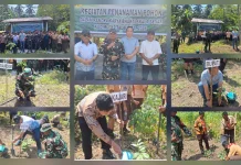 Karbak Non Fisik, Kodim 1312/Talaud Gelar Penanaman Pohon di Wilayah Perbatasan