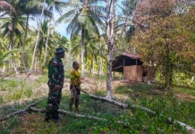 Babinsa Kabaruan Tinjau Perkebunan Birang Cegah Kebakaran
