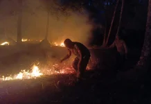 Api Lahap Perkebunan Ngalla, Polsek Essang dan Warga Bergerak Cepat