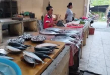 Harga Ikan Laut di Talaud Naik, Pedagang dan Konsumen Terbebani