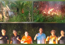 Karhutla 4 Hektare di Talaud Diduga Dipicu Puntung Rokok