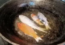 Manfaat Ikan Loi, Sumber Protein dan Gizi untuk Kesehatan