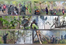 Tim Gabungan dan 500 Warga Padamkan Karhutla 111 Hektar di Damau