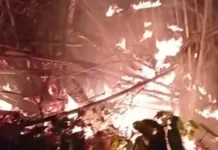 Pemerintah dan Masyarakat Damau Gotong Royong Padamkan Kebakaran Hutan dan Lahan
