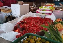 Harga Cabai di Pasar Lirung Talaud Melonjak hingga Rp200 Ribu per Kilogram