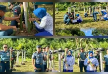 Penanaman Buah Naga di Lanal Melonguane Perkuat Ketahanan Pangan