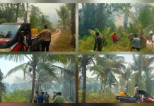 Karhutla Hanguskan 15 Hektar Lahan di Mandarawang Rainis, Api Masih Membesar