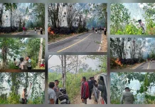 Polres Talaud Bersama Warga Padamkan Kebakaran Lahan di Rainis