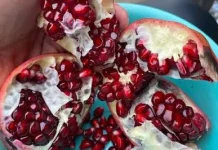 Manfaat Buah Delima untuk Kesehatan, Kaya Antioksidan dan Baik untuk Jantung