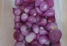 Bawang Merah Mentah Bermanfaat untuk Kesehatan