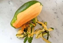 Kulit Buah Pepaya juga Punya Potensi Manfaat untuk Kesehatan