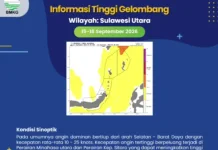 Gelombang Sedang Berpotensi di Perairan Talaud