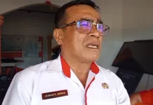 BPBD: Kemarau Berkepanjangan Kebakaran Lahan Meluas di Talaud